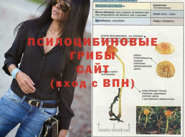 ECSTASY Белоозёрский